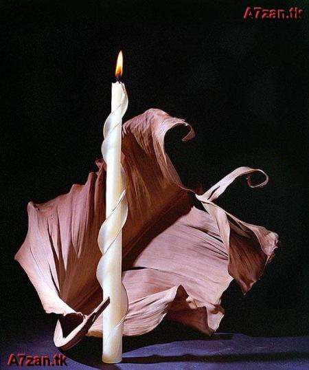 ����� ������ � �������